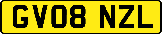 GV08NZL