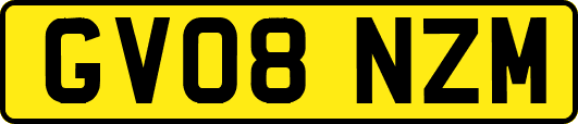 GV08NZM