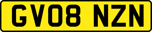 GV08NZN