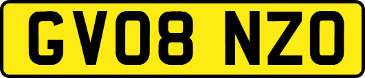 GV08NZO