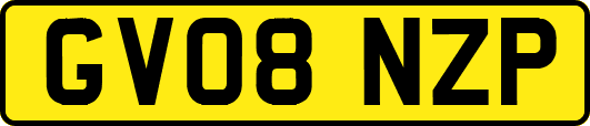 GV08NZP