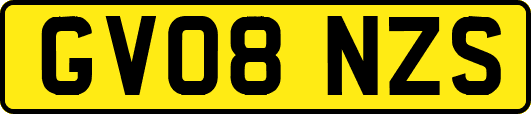 GV08NZS