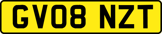GV08NZT