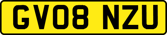GV08NZU