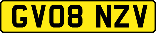 GV08NZV