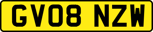 GV08NZW