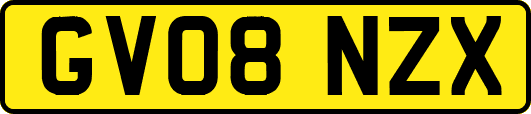 GV08NZX