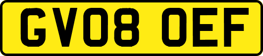 GV08OEF
