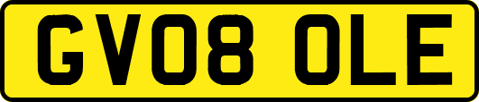 GV08OLE