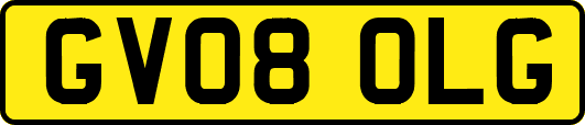 GV08OLG
