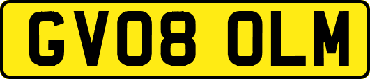 GV08OLM