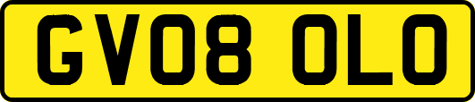 GV08OLO