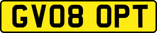 GV08OPT