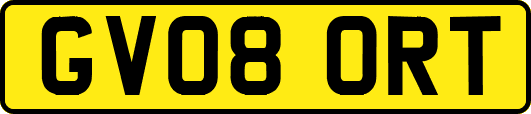 GV08ORT
