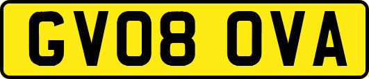 GV08OVA