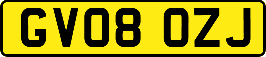 GV08OZJ