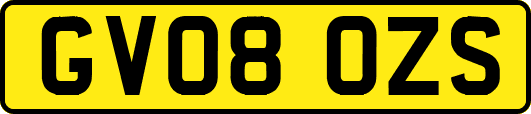 GV08OZS