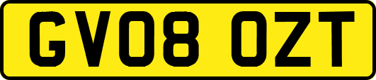 GV08OZT