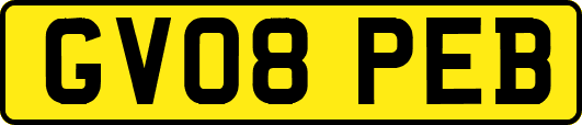 GV08PEB