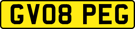 GV08PEG