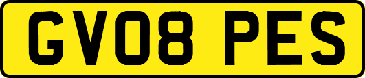 GV08PES