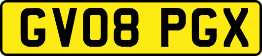 GV08PGX