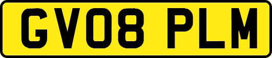 GV08PLM