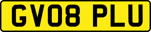 GV08PLU