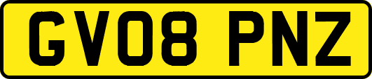GV08PNZ