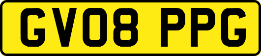 GV08PPG