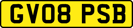 GV08PSB