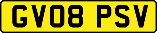 GV08PSV