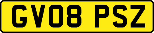 GV08PSZ