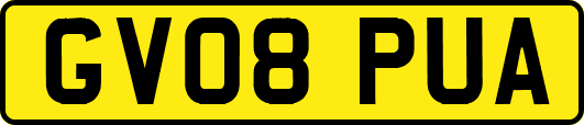 GV08PUA