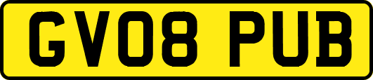 GV08PUB