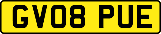 GV08PUE