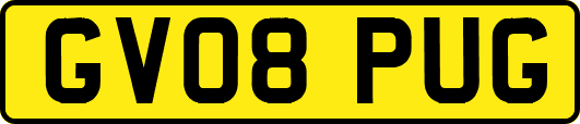 GV08PUG