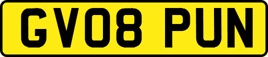 GV08PUN