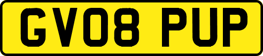 GV08PUP