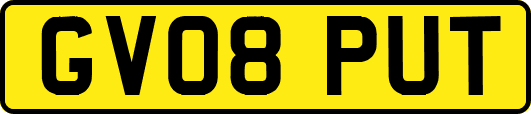 GV08PUT
