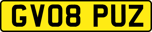GV08PUZ