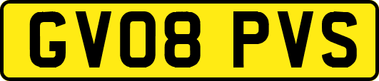 GV08PVS