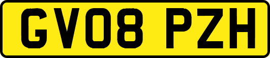 GV08PZH
