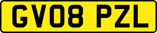 GV08PZL