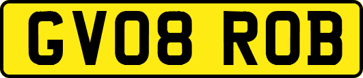 GV08ROB