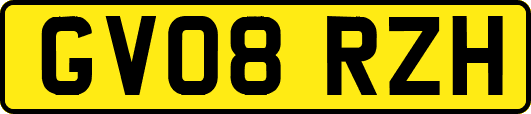 GV08RZH