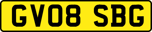 GV08SBG