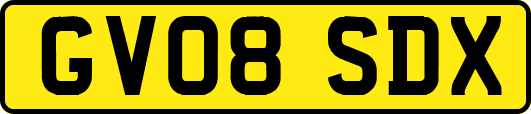 GV08SDX