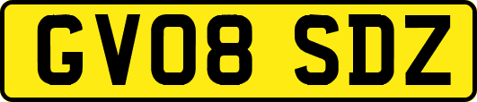 GV08SDZ