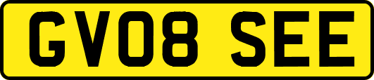 GV08SEE